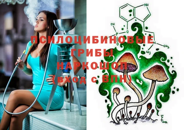 герыч Алзамай