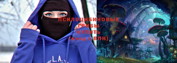 бошки Алексеевка